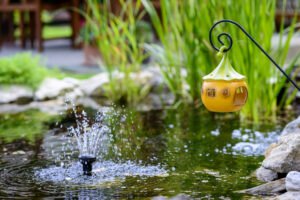 fountain in a yard