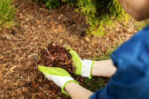 gardener-holding-mulch