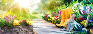 Best Garden and Landscape Edging Materials