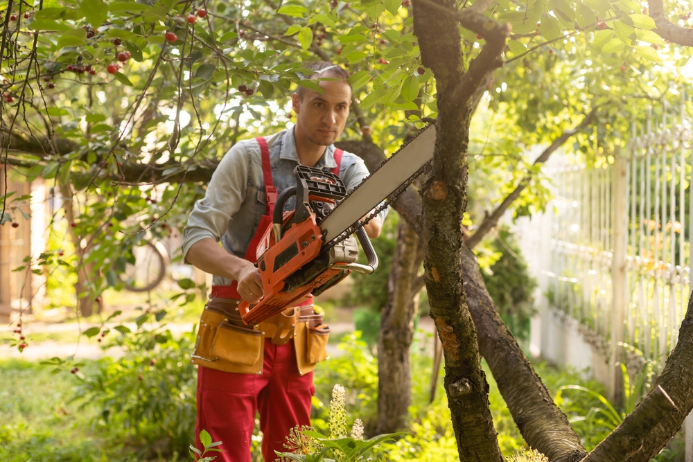 Tree and Yard Work Services in Plano, TX