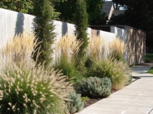 Xeriscaping 101: Drought-Resistant Landscaping