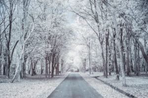 frosty-roadside-scene