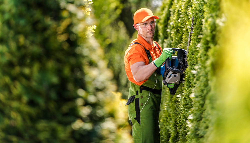 McKinney Hedge and Tree Trimming Services