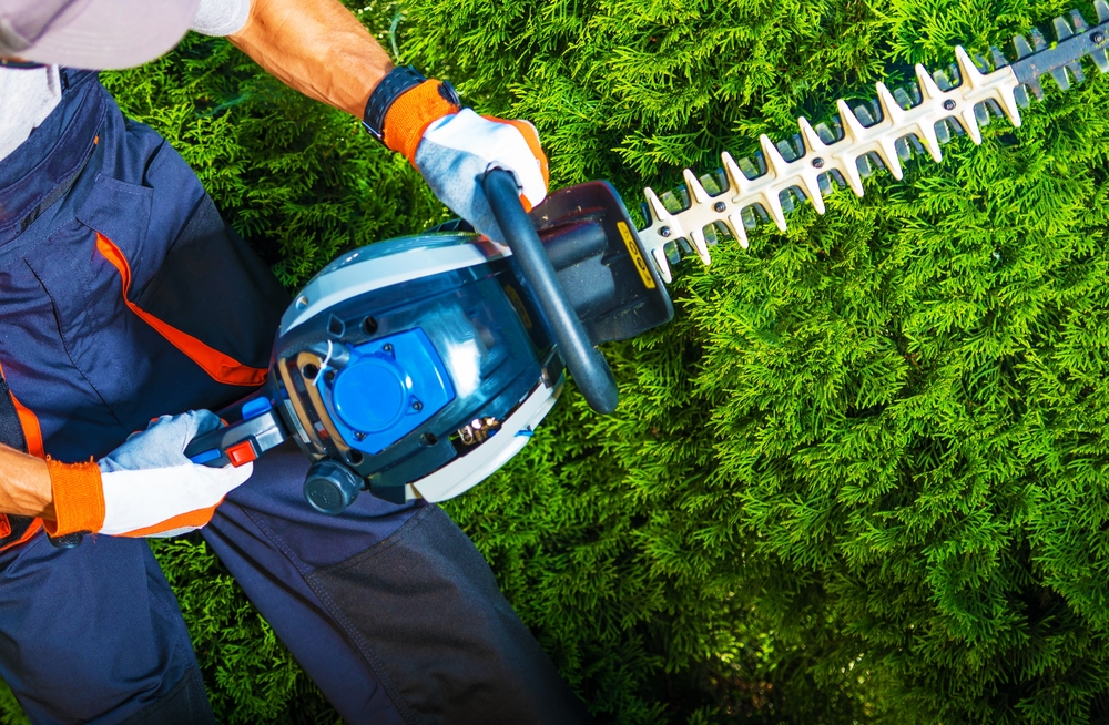 Frisco, TX hedge and Tree Trimming Services