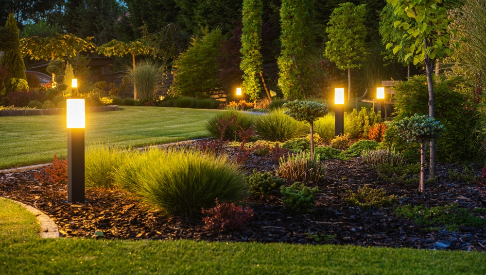 LED lights in landscaped garden