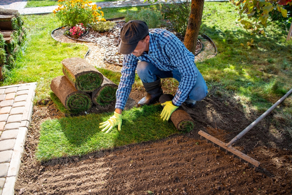 Landscape gardener laying turf for new lawn in the garden