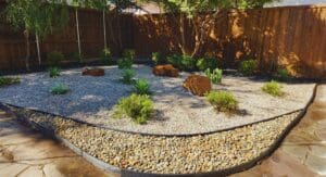 Gravel garden with plants and rocks.